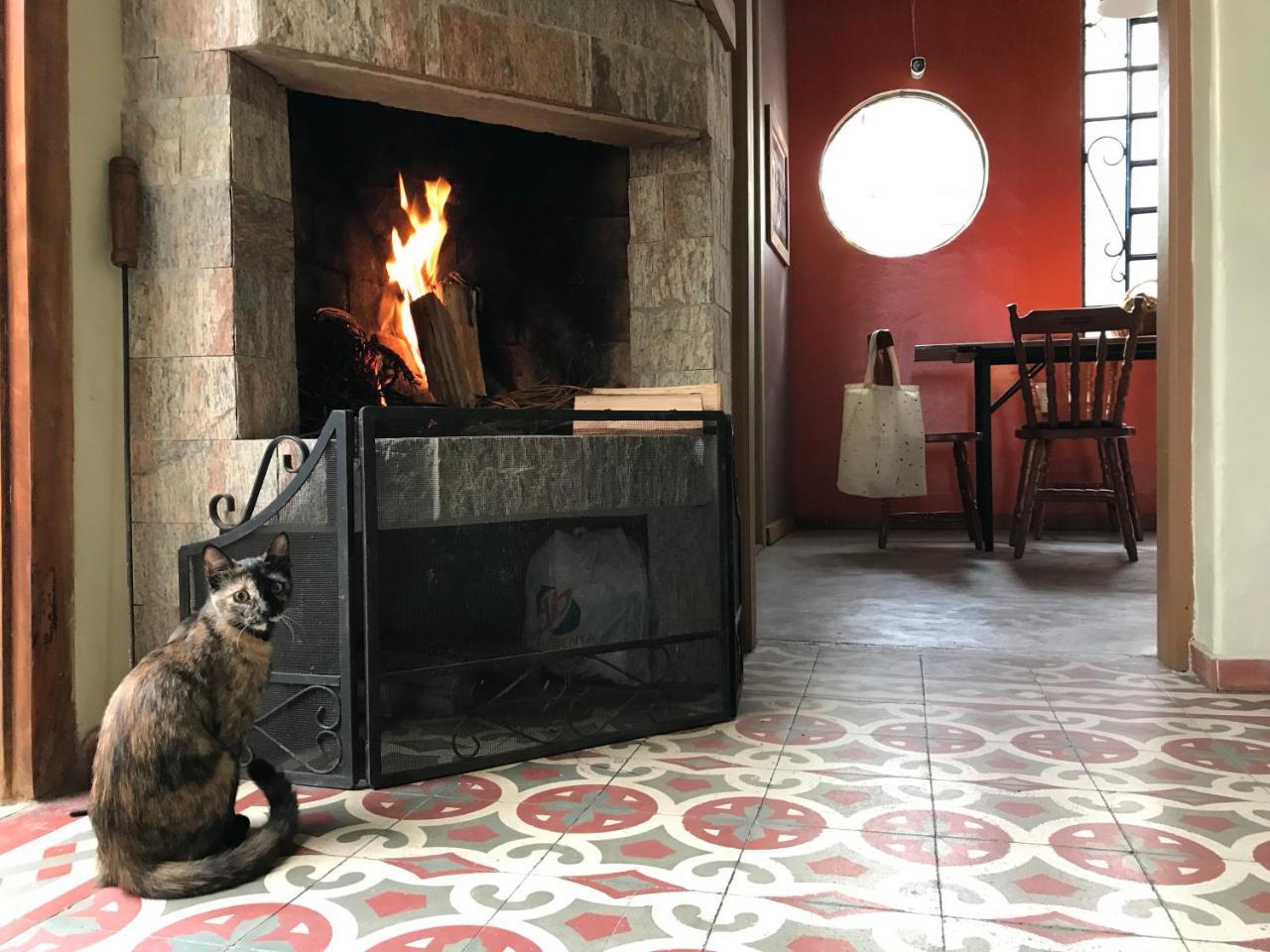 Frida Casa Hostel Пелотас Екстериор снимка